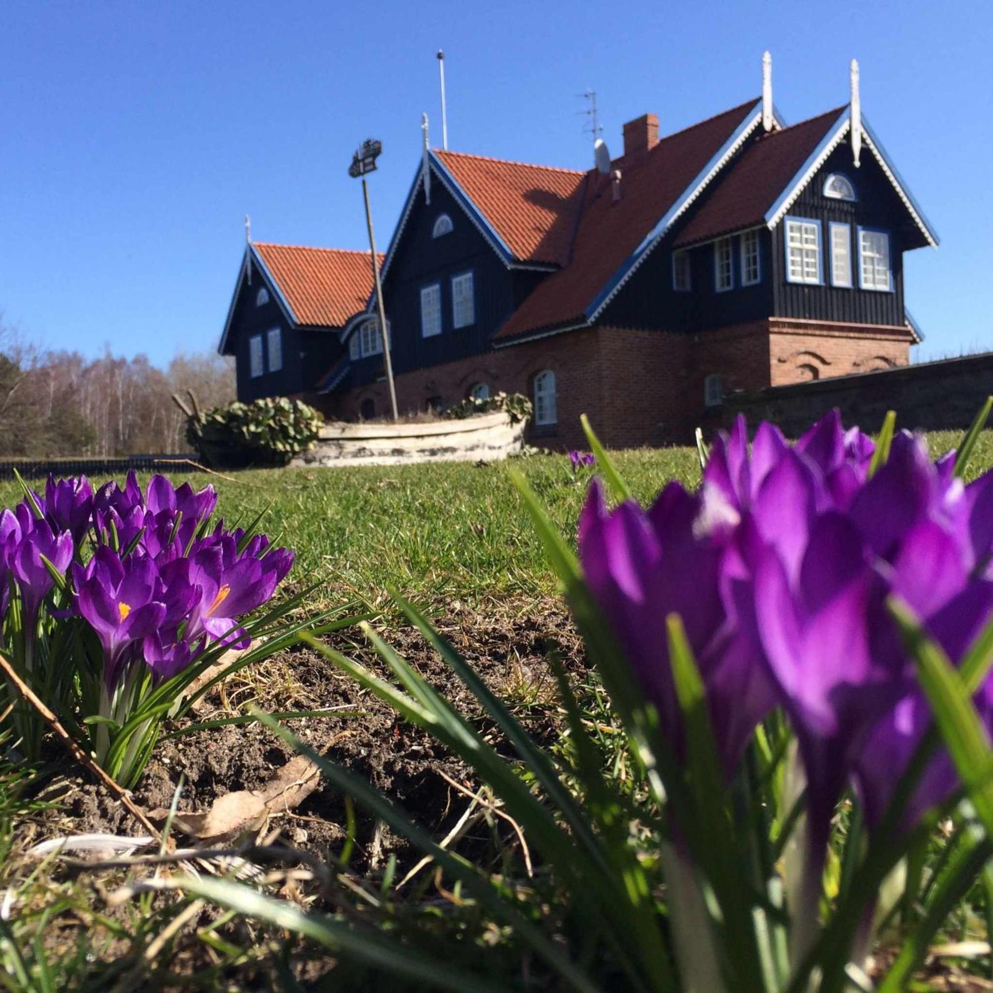 Bed and Breakfast Sturmu Svyturys Sturmai Exterior foto